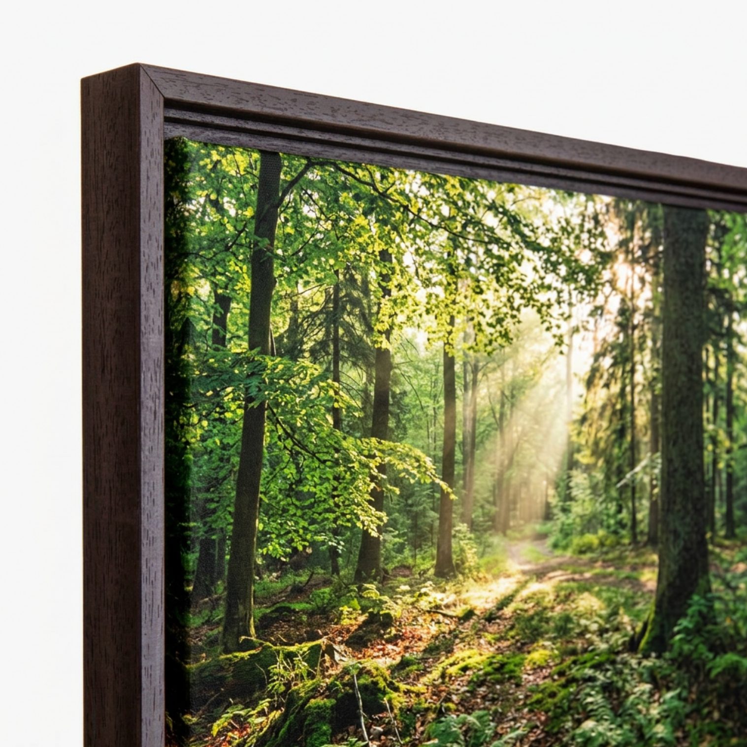 foto op canvas in lijst natuur foto op canvas in lijst natuur